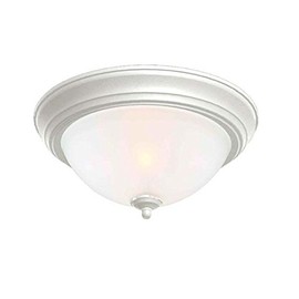 commercial electric White Twin Pack 2-Light Flushmount