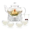 GURUDAR Glass Teapot Set, 34OZ/1000ML Glass Tea Kettle with Loose