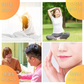 美高商事 HEALTHY-ONE ミネラルシリーズ (ブルーラベル) (1点, セレニウム)