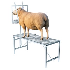 Gelacie Goat Milking Stand with Feeder, 600lbs Sheep Hoof Trimming Stand with Feed Bin, Adjustable/Foldable Livestock Rack for Milking Trimming Bathing Grooming, Stainless Steel Silvery