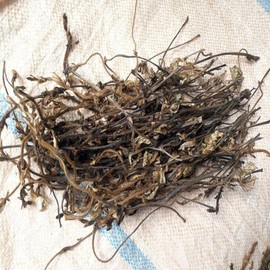 자연산 칡순 100g 갈용 칡순차 칠순 갈용 Natural Wild Arrowroot 100g Galyong Arrowroot Tea Chilsun Galyong