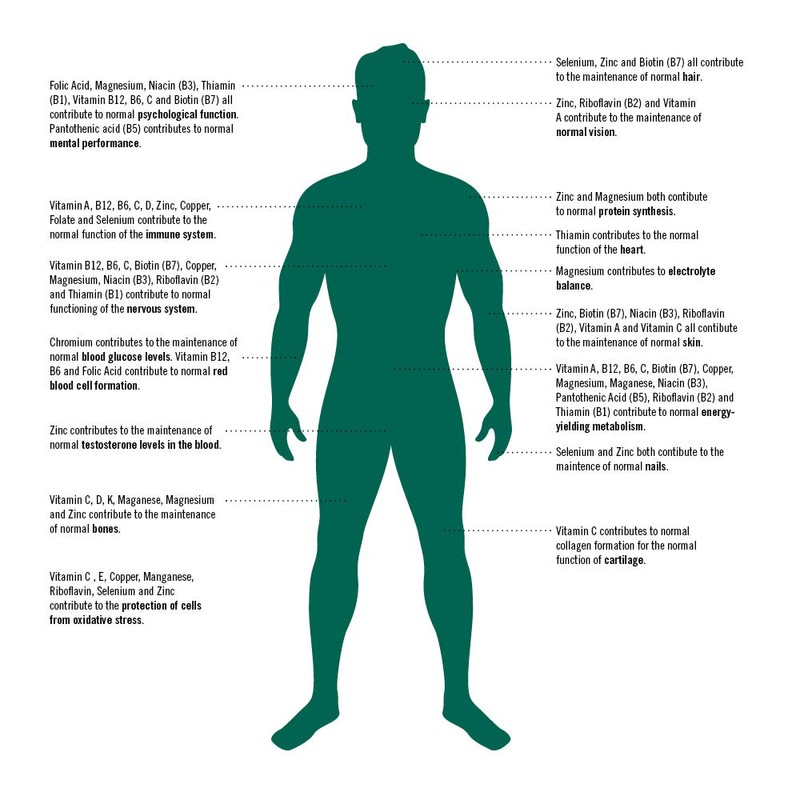 Reflex Nutrition Nexgen Pro Daily Vitamins Contains 33 Active Ingredients