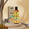 Castor Oil with Frankincense, 1 Box Moisturizing Soothing Body Massage