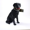 Conversation Concepts Black Lab Figurine MyDog