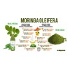 Concentrado De Moringa, Rico En Vitaminas