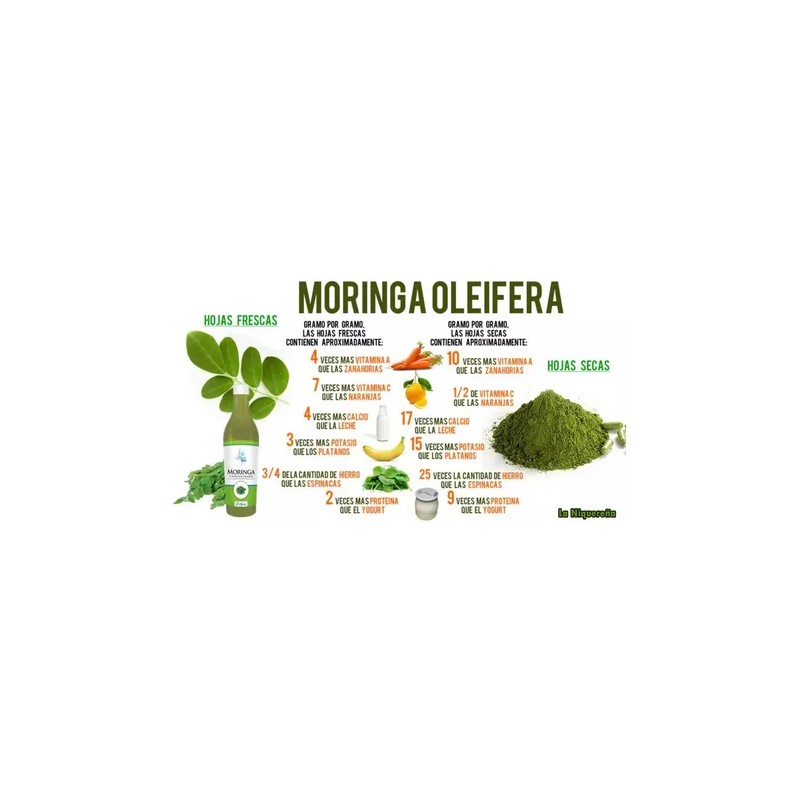 Concentrado De Moringa, Rico En Vitaminas