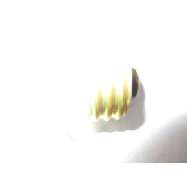 Fuse 30 Amp for Home