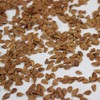 Chinese Mahogany Exotic Microgreens Seeds - 3 g Packet ~200