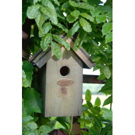 Wren Bird House Box Birdhouse - Wooden w Apex Bitumen Roof - 100% FSC