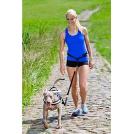 Dingo Canicross Belt and Leash, Multifunction Jogging Set with Shock-Absorber, Smooth Length Control, Easy To Set The Pace, Adjustable 12778