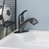 Homewerks Single Handle Pull Out Laundry Faucet 1 or 3