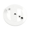 Rear Brake Plate White with Bore with Slot - for