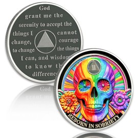 Rainbow Skull 2 Year Sobriety Coin Double Flower Two Year Sobriety Chip AA Chips and Medallion AA Coin Serenity Prayer Coin Recovery Chip Sobriety Token Sobriety Gifts for Men Women