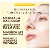 EQQUALBERRY Mascarilla Facial Colágeno y Niacinamida Coreana