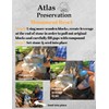 Atlas Preservation Small Light Gray Monument Repair Kit - Reset