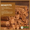 Tarkeeb Cinnamon Sticks ~ All Natural | Vegan | No