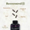 Resveratrol + Kalanchoe | Antioxidante E Inmunidad | Momosie