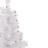 2' Pre-lit Rockport White Pine Artificial Christmas Tree Purple Lights