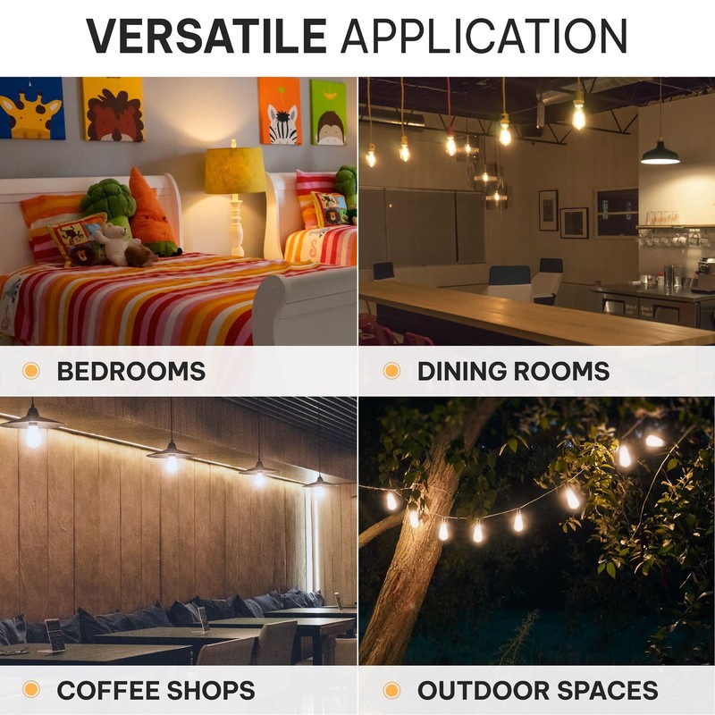 HUDSON BULB CO. Vintage Edison LED Light Bulbs 6W (6