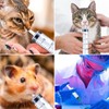Watering Refilling Pet Nursing Supplies for Feeding Pets Scientific Labs