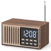 Tendak FM Retro Radio Small, Nostalgic Radio with LED Display,