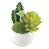 Kishima CT Catalyst Deodorizing Artificial Green Succulent