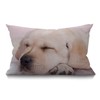 BGBDEIA Dog Lumbar Cushion Cover 30X50cm 12x20 Inch Decorative Bedroom