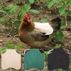 Chicken Saddles for Hens - 3X Chicken Apron Back Protector