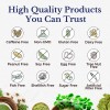 Vitalitown Moringa 11000 Mg 240 Cápsulas