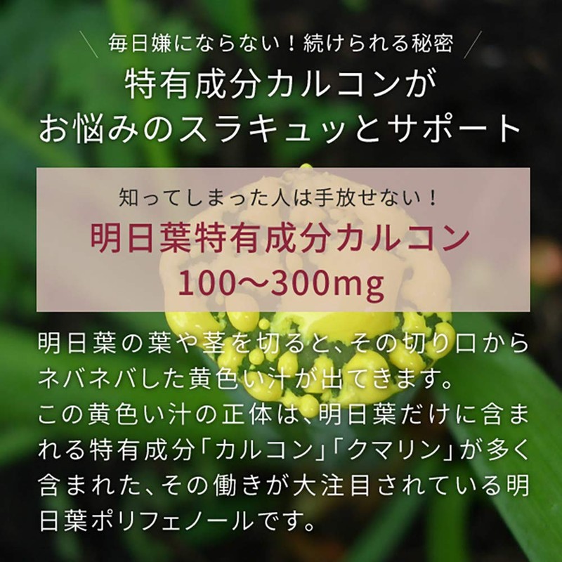 nichie Organic Tomorrow Leaves Green Juice, 100% Indonesian Powder, 3.5