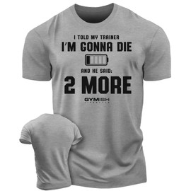 Gymish Lifestyle 2 More Workout Shirts for Men, Motivational T-Shirt for Gym (XXL, 2 More Grey)