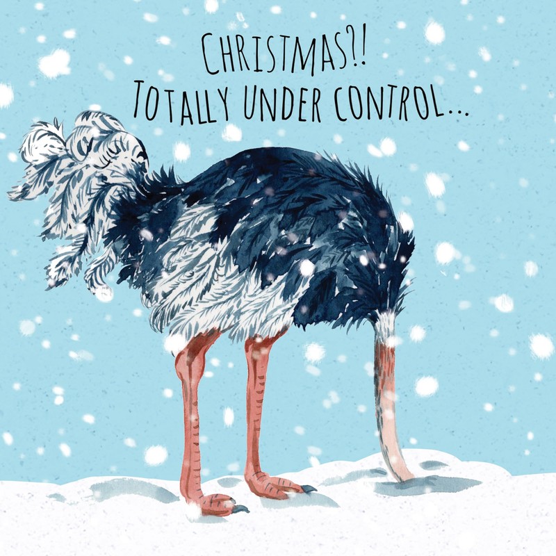 Twizler Lustige Weihnachtskarten, 12 Stück, Straußen-Design, 12 Stück