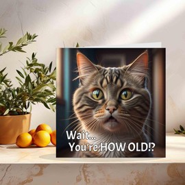 Funny Cat Birthday Card - How old?! Cute Joke Cat bday Card 145mm x 145mm