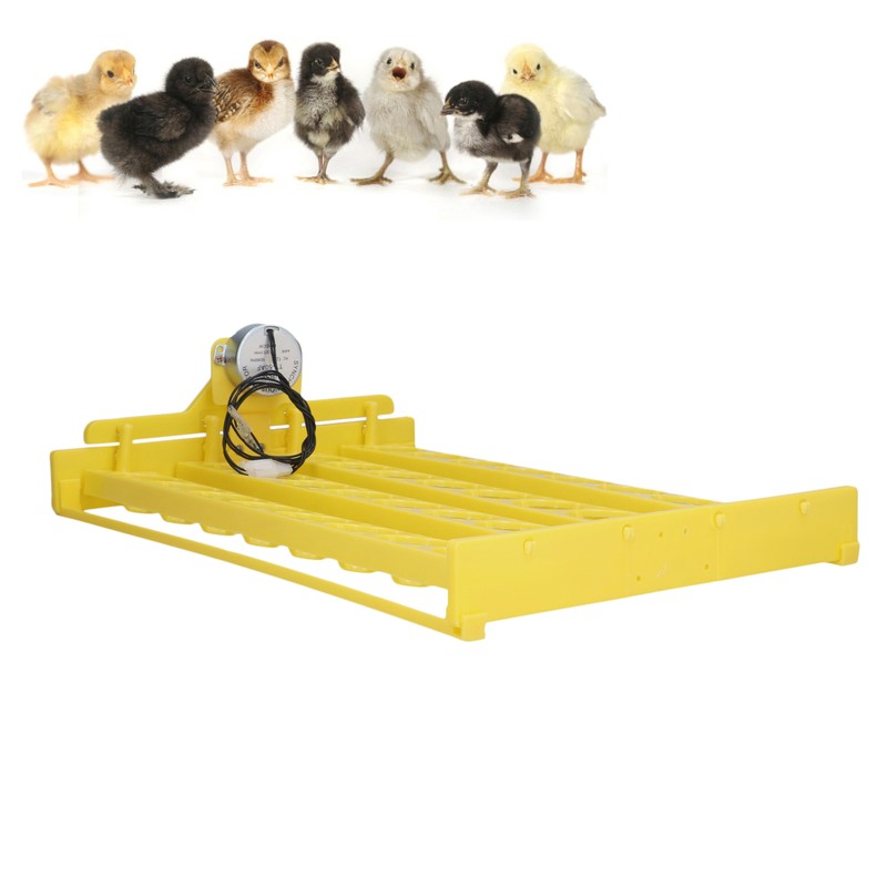Automatic Egg Turner Convenient 32 Eggs Plastic Tray Turning Hatcher