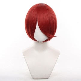 Eileen Cosplay Wig, Medium, Dark Red Wig, Fluffy, Hair, 11.8 inches (30 cm), Versatile Type, Cosplay Wig, Unisex, Heat Resistant, Event Wig with Net