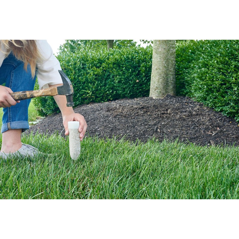 Miracle-Gro Plant Food Spikes Bundle for Fruit and Citrus Plus