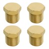 Be In Your Mind Pack of 4 1/4 Inch NPT