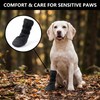 Benaewa Dog Socks for Injured Paws Waterproof, Breathable Recovery Dog