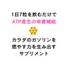 ミウラタクヤ商店 ケトジェニック ATP産生 ブースト サプリメント140粒 ビタミンB群 カルニチン マグネシウム 鉄分 亜鉛