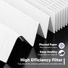 Vital 200S Replacement Filter for LEVOIT Vital 200S and Vital