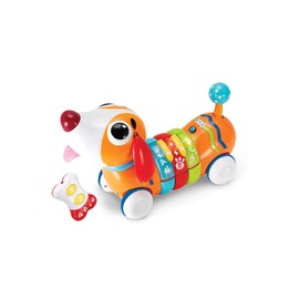 WinFun 7301142 Activity and Remote Control, Orange (CPA Toy Group)