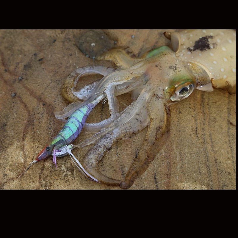 YO-ZURI Shrimp Q No. 3.5 No. 6: Deep Green Squid