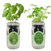Environet 2-Pack Hydroponic Mason Jar Herb Garden Kit, Indoor Herb