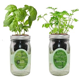 Environet 2-Pack Hydroponic Mason Jar Herb Garden Kit, Indoor Herb Garden Self-Watering Starter Kit (Basil, Parsley)