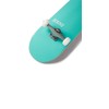 [CCS] Logo Skateboard Complete Mint 8.50"
