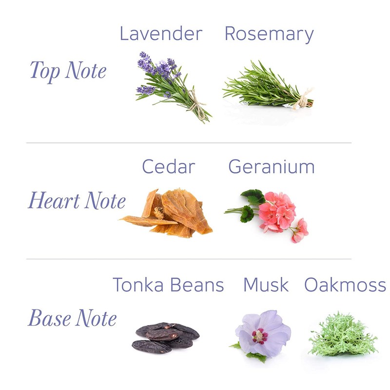 Yardley Talk English Lavender 250g (Pack of 3)