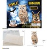 Puzzled 3D Puzzle Owl Wood Craft Construction Model Kit, Fun