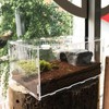CiCixixi Transparent Acrylic Terrarium, 360° View, for Reptiles and Insects,