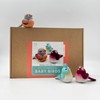 Bergin & Bath Needle Felting Kit Baby Birds - Adult