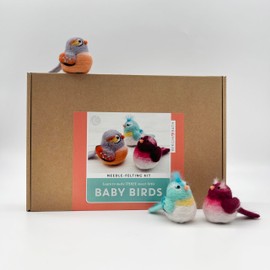 Bergin & Bath Needle Felting Kit Baby Birds - Adult Art Craft Kit for Making Three Little Wool Bird Decorations
